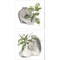 Two Vases by Chris Paschke 14" x 14" Canvas Wall Art (Set of 2)
